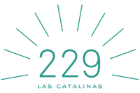 229-logo-7473