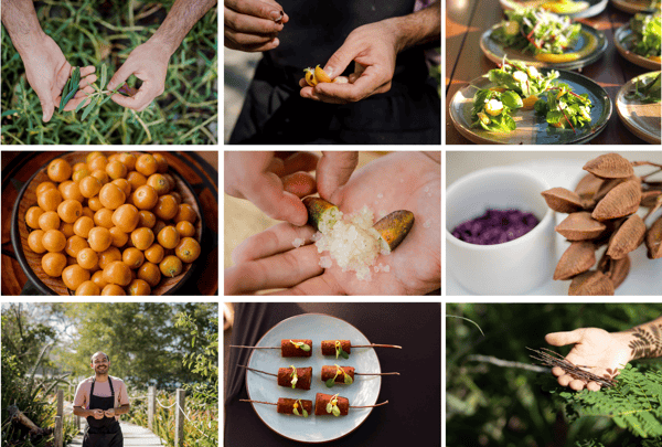 Foraging_LP collage