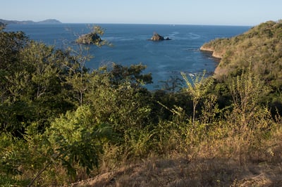 Significance Guanacaste