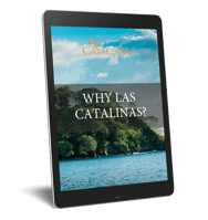 tablet para ebook why las catalinas